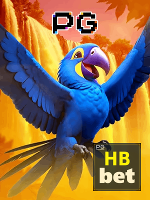 HBBET bônus — cashback 15 por cento e níveis VIP